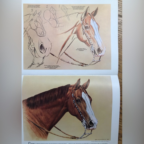 Horses’ Heads in Oil & Pastel Book - Picture 5 of 8